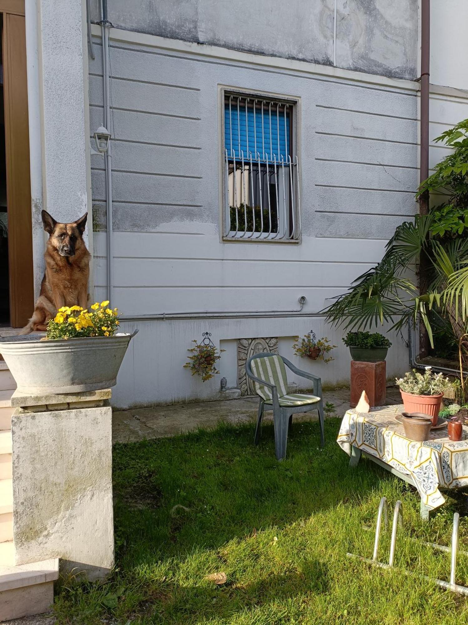 Chez Mavipagi B&B Vérone Extérieur photo